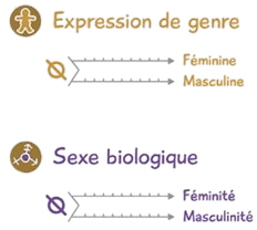 expression